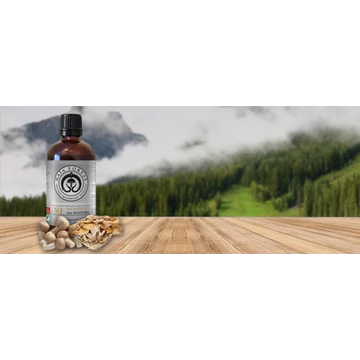 NAJA FOREST N1 BIO MAITAKE, BIO MANDULA ÉTREND - KIEGÉSZÍTŐ - ZYLA