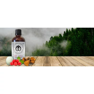 NAJA FOREST N7 BIO CHAGA , BIO SÜNGOMBA, BIO ACEROLA ÉTREND - KIEGÉSZÍTŐ - ZYLA