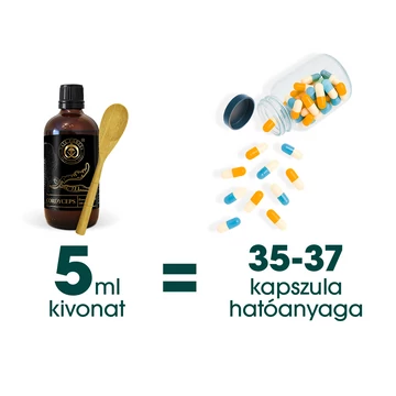 NAJA FOREST BIO CORDYCEPS ÉTREND - KIEGÉSZÍTŐ - ZYLA