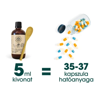 Naja Forest folyékony növényi kivonat ashwaganda, szibériai ginzeng, kínai kúszómagnólia