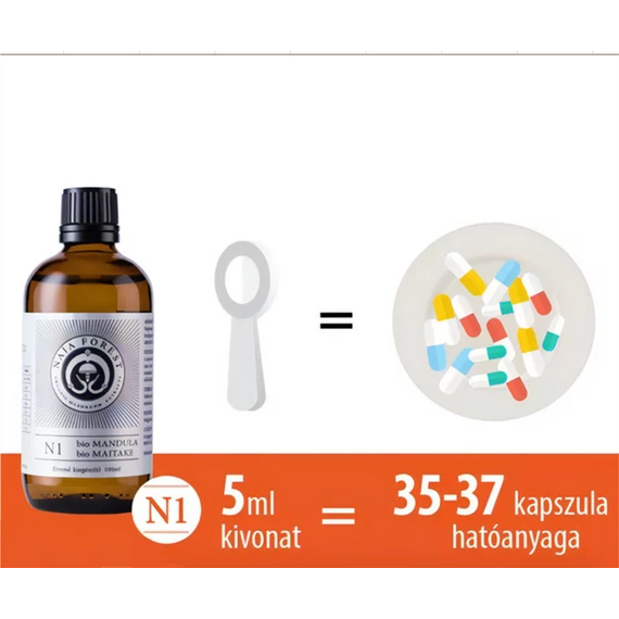 A Naja Forest folyékony bio növényi és gomba kivonatokból 5 ml 35- 37 kapszulányi hatóanyagot tartalmaz