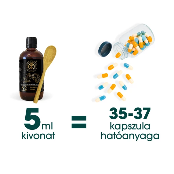 A Naja Forest folyékony bio növényi és gomba kivonatokból 5 ml 35- 37 kapszulányi hatóanyagot tartalmaz