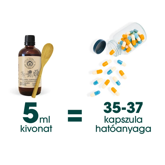 A Naja Forest folyékony bio növényi és gomba kivonatokból 5 ml 35- 37 kapszulányi hatóanyagot tartalmaz