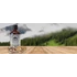 Naja Forest N1 bio maitake és bio moandula folyékony gomba kivonat üvegben